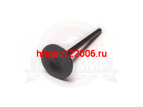 Клапан впускной CB250 см3 Zongshen ZS 172FMM-5, L88,5 (100105271) (НАБОР)