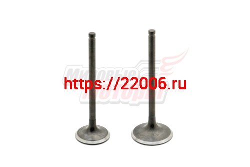 Клапаны (впуск/выпуск) 169FMМ (CB250)