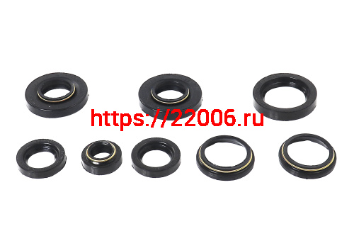 Набор сальников Пл Россия (завод) фото 2 Набор сальников Пл Россия (завод) фото 2