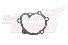 Прокладка водяного насоса 491QE DEER, SAFE (1300017-E00)